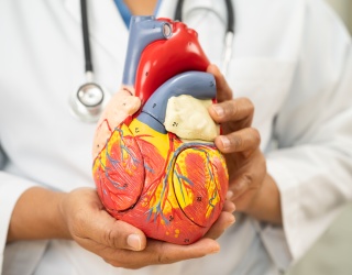 ESR Welcomes EU Safe Hearts Plan for Cardiovascular Health